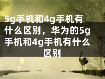 5g手機(jī)和4g手機(jī)有什么區(qū)別，華為的5g手機(jī)和4g手機(jī)有什么區(qū)別