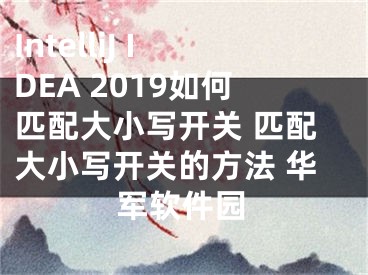 IntelliJ IDEA 2019如何匹配大小寫開關(guān) 匹配大小寫開關(guān)的方法 華軍軟件園