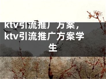 ktv引流推廣方案，ktv引流推廣方案學(xué)生