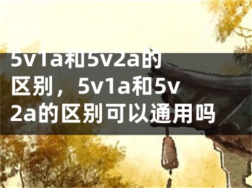 5v1a和5v2a的區(qū)別，5v1a和5v2a的區(qū)別可以通用嗎