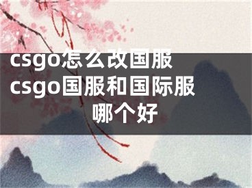 csgo怎么改國(guó)服 csgo國(guó)服和國(guó)際服哪個(gè)好