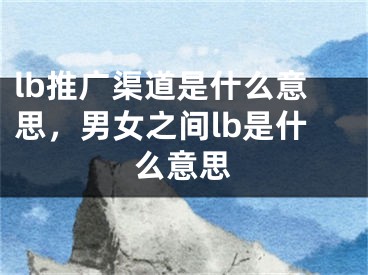 lb推廣渠道是什么意思，男女之間lb是什么意思