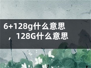 6+128g什么意思，128G什么意思