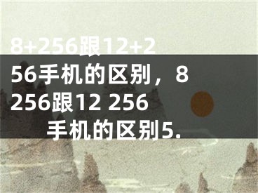 8+256跟12+256手機(jī)的區(qū)別，8 256跟12 256手機(jī)的區(qū)別5.