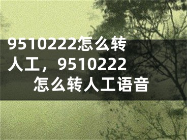 9510222怎么轉(zhuǎn)人工，9510222怎么轉(zhuǎn)人工語(yǔ)音