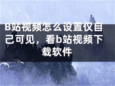 B站視頻怎么設(shè)置僅自己可見，看b站視頻下載軟件