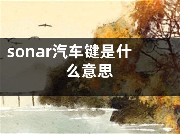 sonar汽車鍵是什么意思