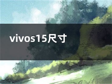 vivos15尺寸