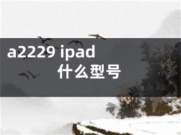 a2229 ipad什么型號