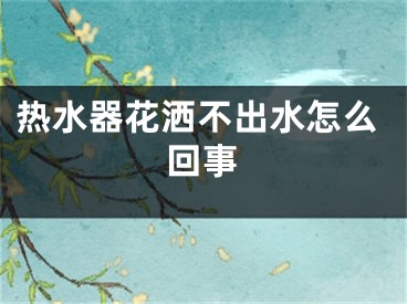 熱水器花灑不出水怎么回事