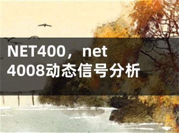 NET400，net4008動態(tài)信號分析