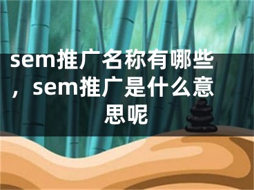 sem推廣名稱有哪些，sem推廣是什么意思呢