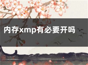 內(nèi)存xmp有必要開嗎