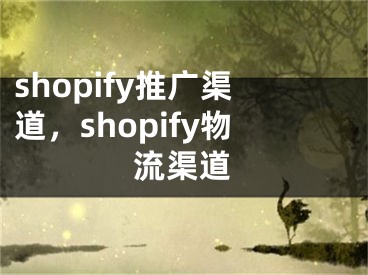 shopify推廣渠道，shopify物流渠道