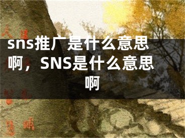 sns推廣是什么意思啊，SNS是什么意思啊