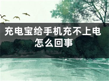 充電寶給手機充不上電怎么回事