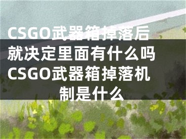 CSGO武器箱掉落后就決定里面有什么嗎 CSGO武器箱掉落機制是什么