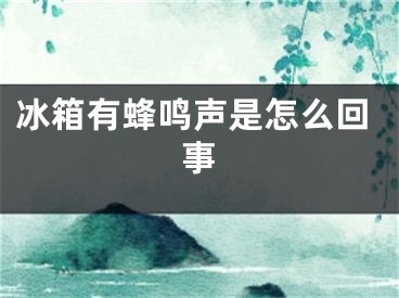 冰箱有蜂鳴聲是怎么回事