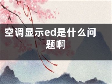 空調(diào)顯示ed是什么問題啊