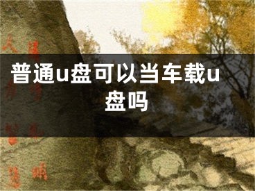 普通u盤可以當(dāng)車載u盤嗎