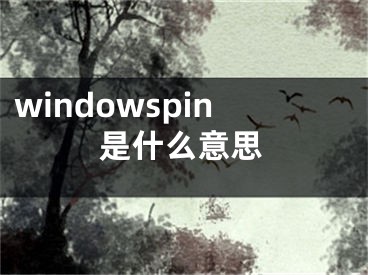 windowspin是什么意思