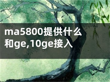 ma5800提供什么和ge,10ge接入