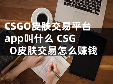 CSGO皮膚交易平臺app叫什么 CSGO皮膚交易怎么賺錢