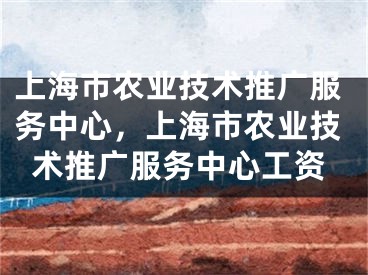 上海市農(nóng)業(yè)技術(shù)推廣服務(wù)中心，上海市農(nóng)業(yè)技術(shù)推廣服務(wù)中心工資