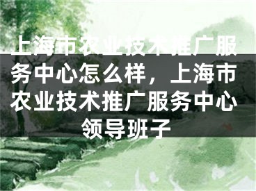 上海市農(nóng)業(yè)技術(shù)推廣服務(wù)中心怎么樣，上海市農(nóng)業(yè)技術(shù)推廣服務(wù)中心領(lǐng)導(dǎo)班子