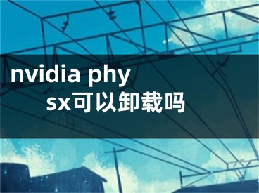 nvidia physx可以卸載嗎