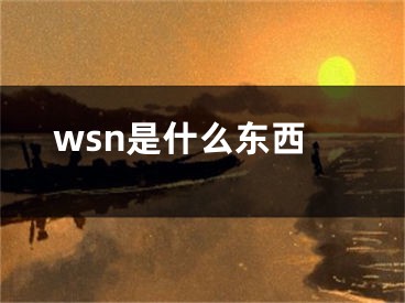 wsn是什么東西