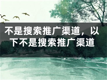 不是搜索推廣渠道，以下不是搜索推廣渠道