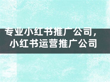 專業(yè)小紅書推廣公司，小紅書運營推廣公司