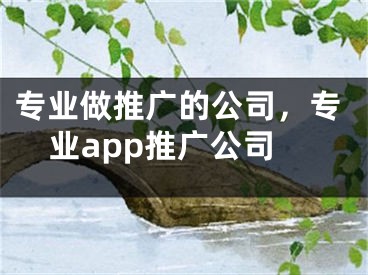 專業(yè)做推廣的公司，專業(yè)app推廣公司