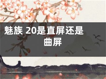 魅族 20是直屏還是曲屏