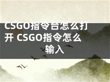 CSGO指令臺(tái)怎么打開 CSGO指令怎么輸入