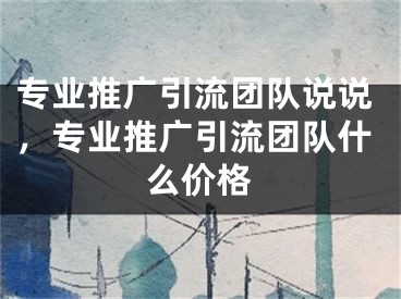 專業(yè)推廣引流團隊說說，專業(yè)推廣引流團隊什么價格