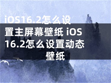 iOS16.2怎么設置主屏幕壁紙 iOS16.2怎么設置動態(tài)壁紙