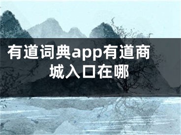 有道詞典app有道商城入口在哪