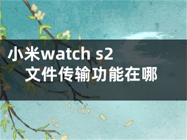 小米watch s2文件傳輸功能在哪