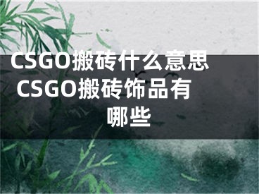 CSGO搬磚什么意思 CSGO搬磚飾品有哪些