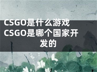 CSGO是什么游戲 CSGO是哪個(gè)國家開發(fā)的