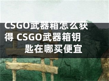 CSGO武器箱怎么獲得 CSGO武器箱鑰匙在哪買便宜