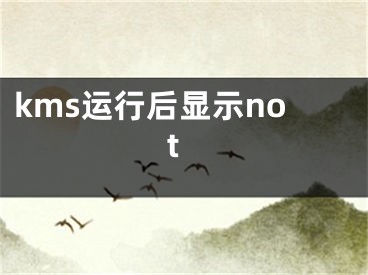 kms運(yùn)行后顯示not