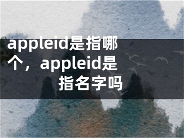 appleid是指哪個(gè)，appleid是指名字嗎