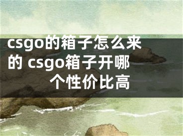 csgo的箱子怎么來的 csgo箱子開哪個性價比高