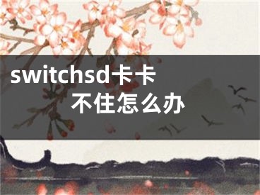 switchsd卡卡不住怎么辦