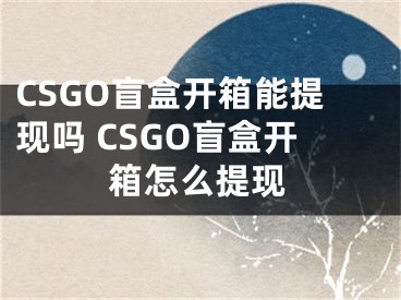 CSGO盲盒開箱能提現(xiàn)嗎 CSGO盲盒開箱怎么提現(xiàn)