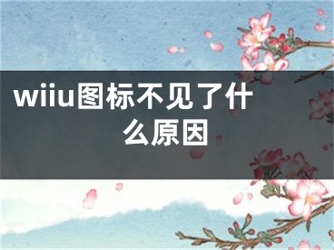 wiiu圖標(biāo)不見了什么原因