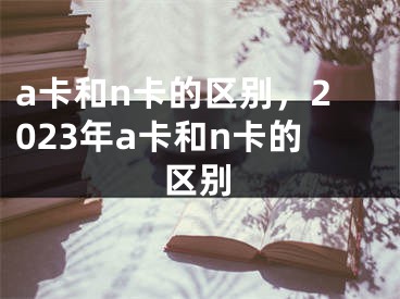 a卡和n卡的區(qū)別，2023年a卡和n卡的區(qū)別